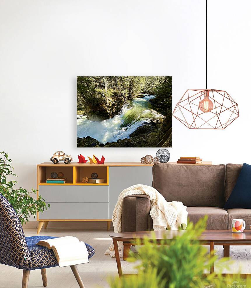 IMG 2459 Reproduction