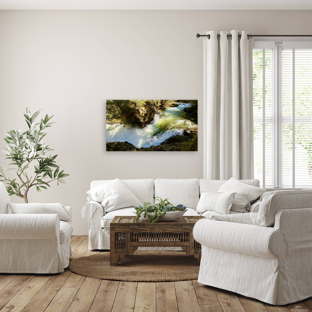 IMG 2460 Reproduction