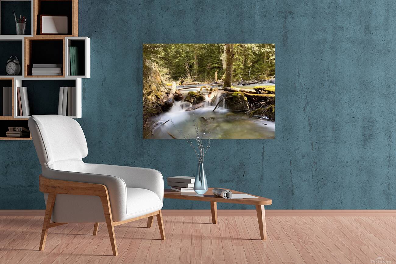 IMG 2442 Reproduction