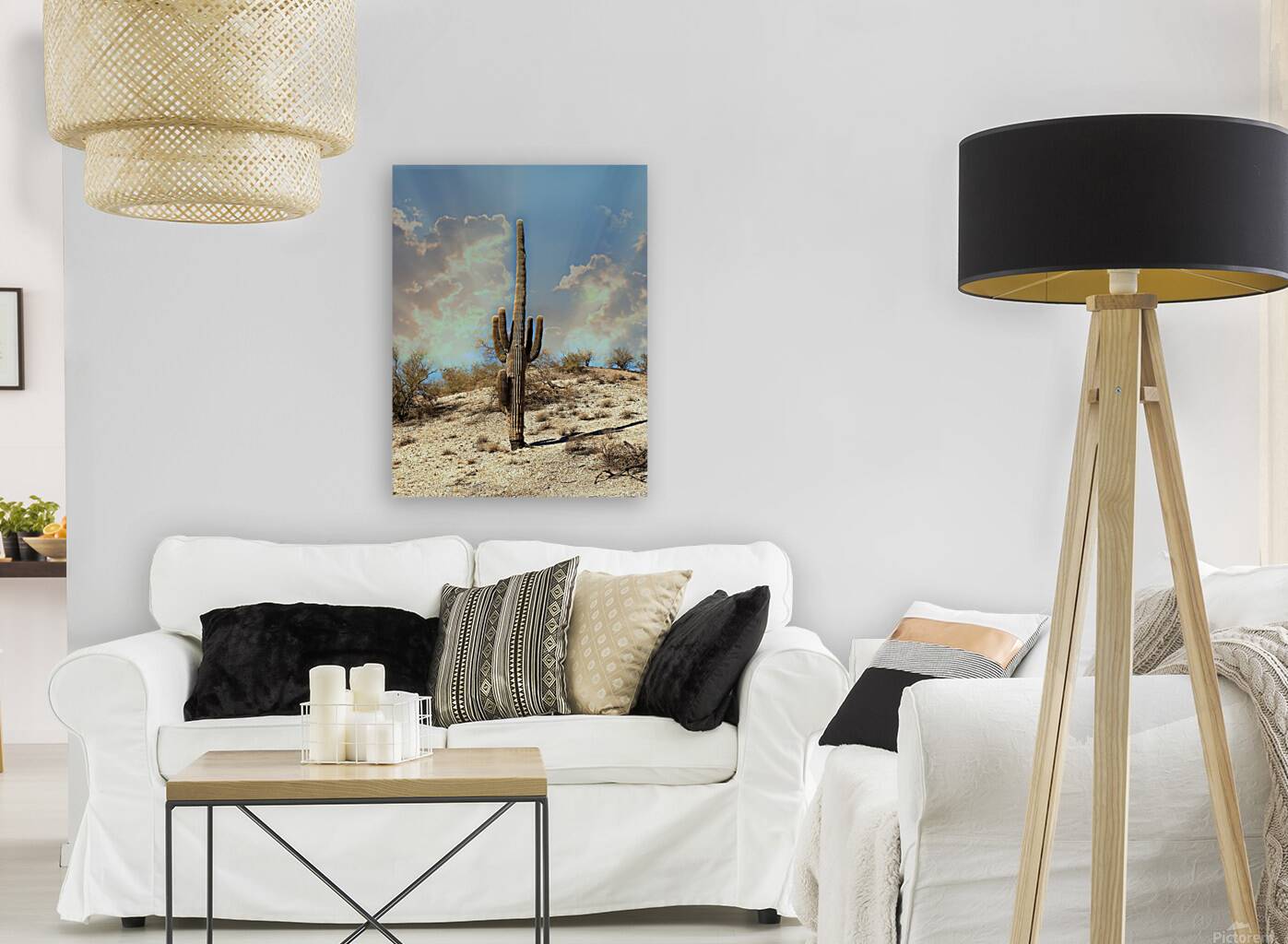 Saguaro Dream Reproduction