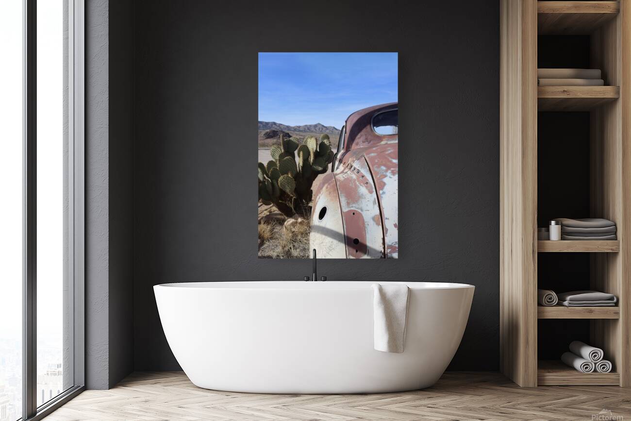 Old Cars and Cactus Reproduction