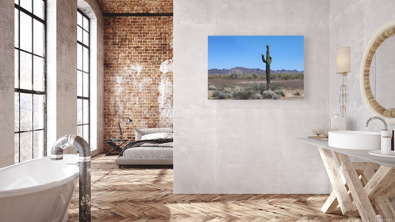 Saguaro desert scene Reproduction