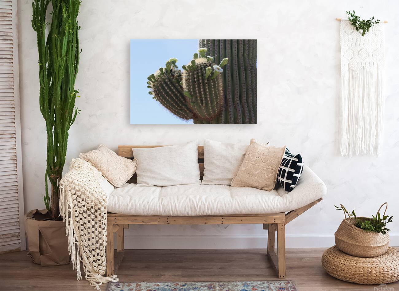 Saguaro blooms x 2 Reproduction