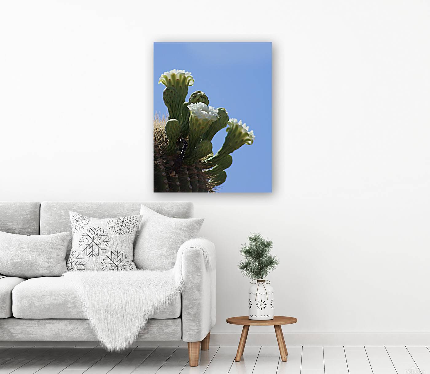 Saguaro Bloom Reproduction