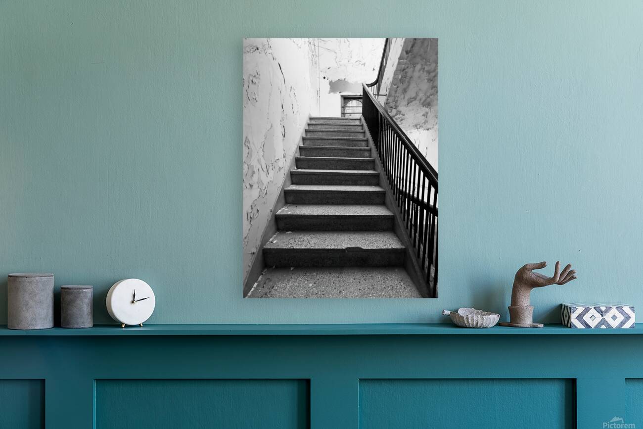 IMG 3401 Reproduction