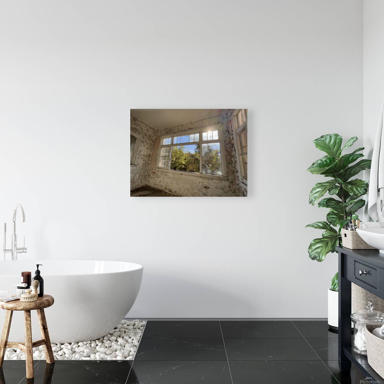 IMG 3399 Reproduction