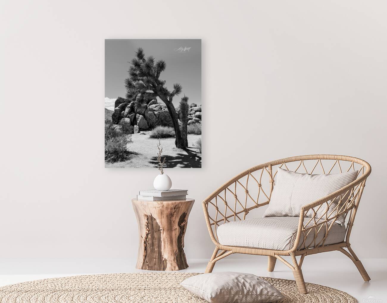 Joshua Tree Reproduction