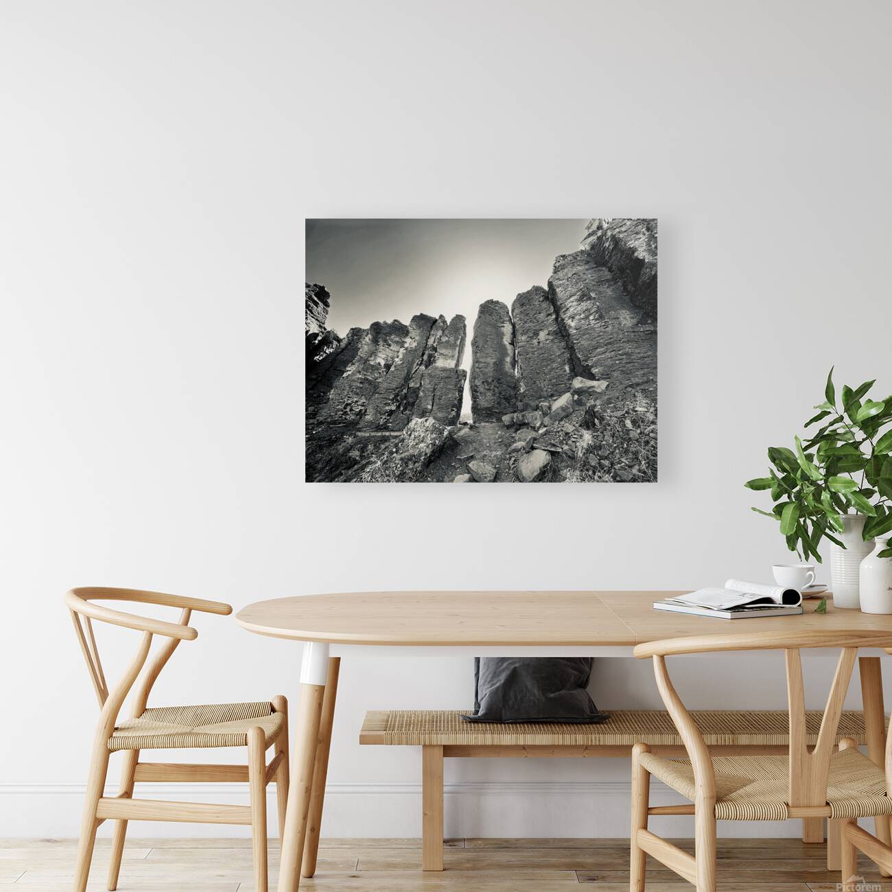 The Feathers Reproduction