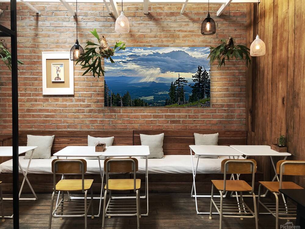 Monsoon Season -2 Reproduction