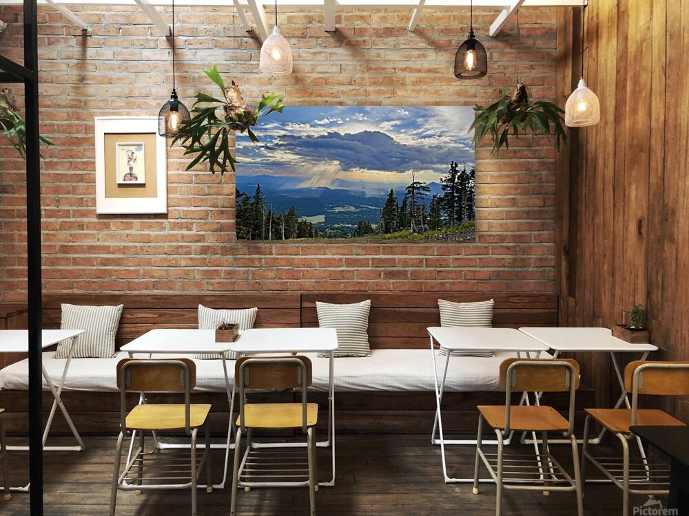 Monsoon Season -1 Reproduction