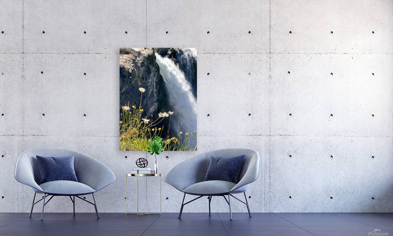 Snoqualmie falls through the Daiseys Reproduction