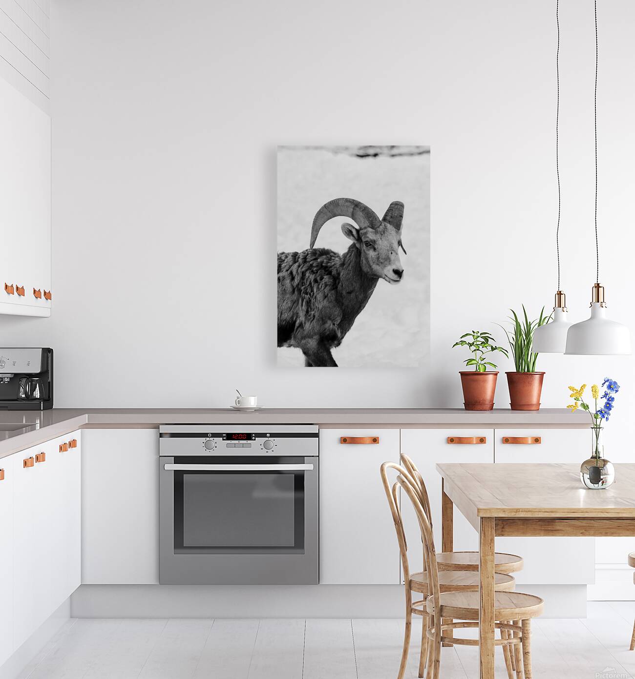 Big Horn Sheep B & W Reproduction