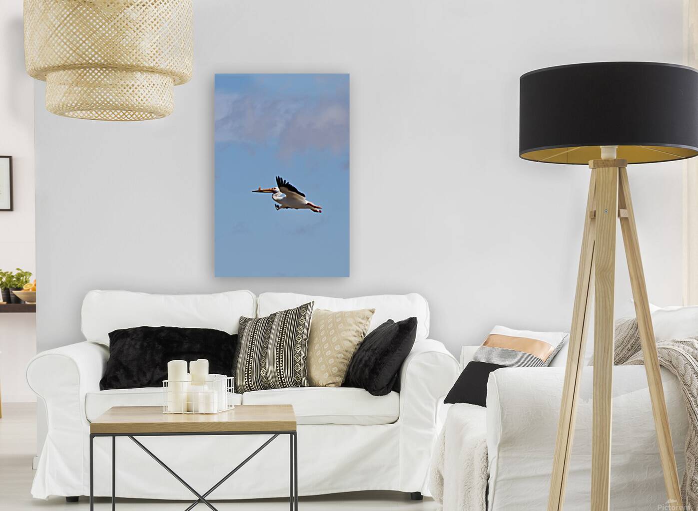 Pelican flight Reproduction