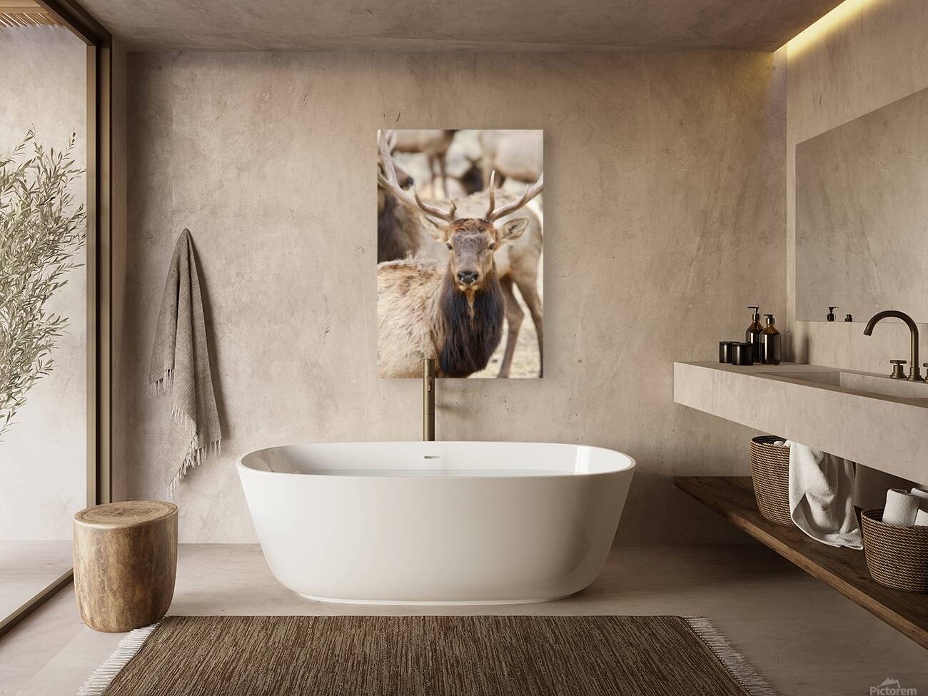 Elk Season Reproduction