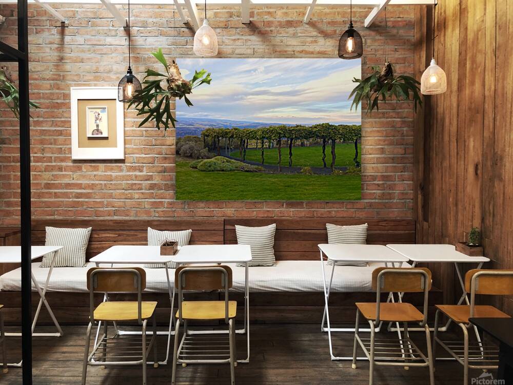 The piazza at Cave B Winery Reproduction