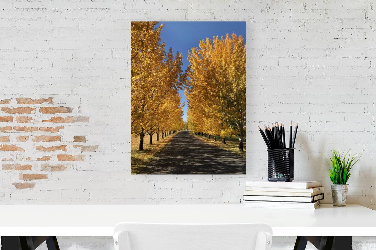 The Road to Cave B Reproduction