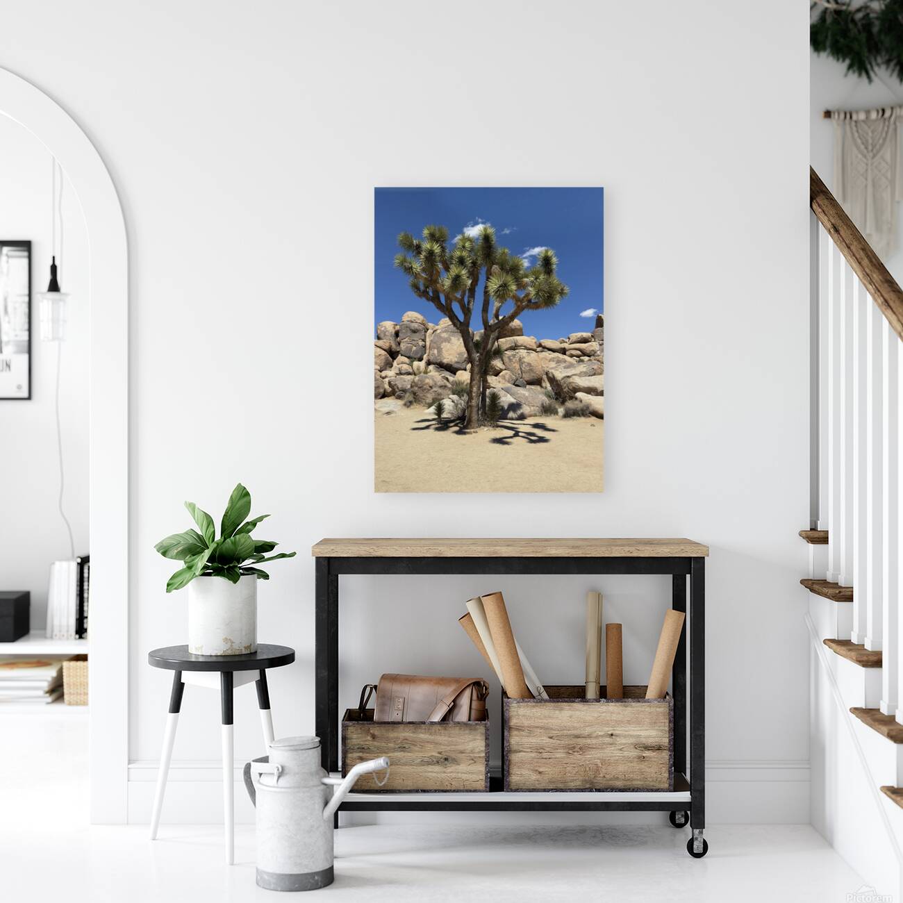 Joshua Tree -2 Reproduction