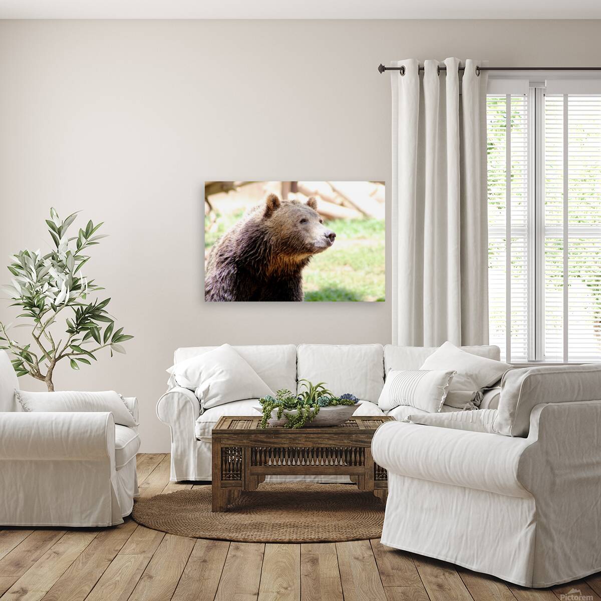 Brown Bear -2 Reproduction