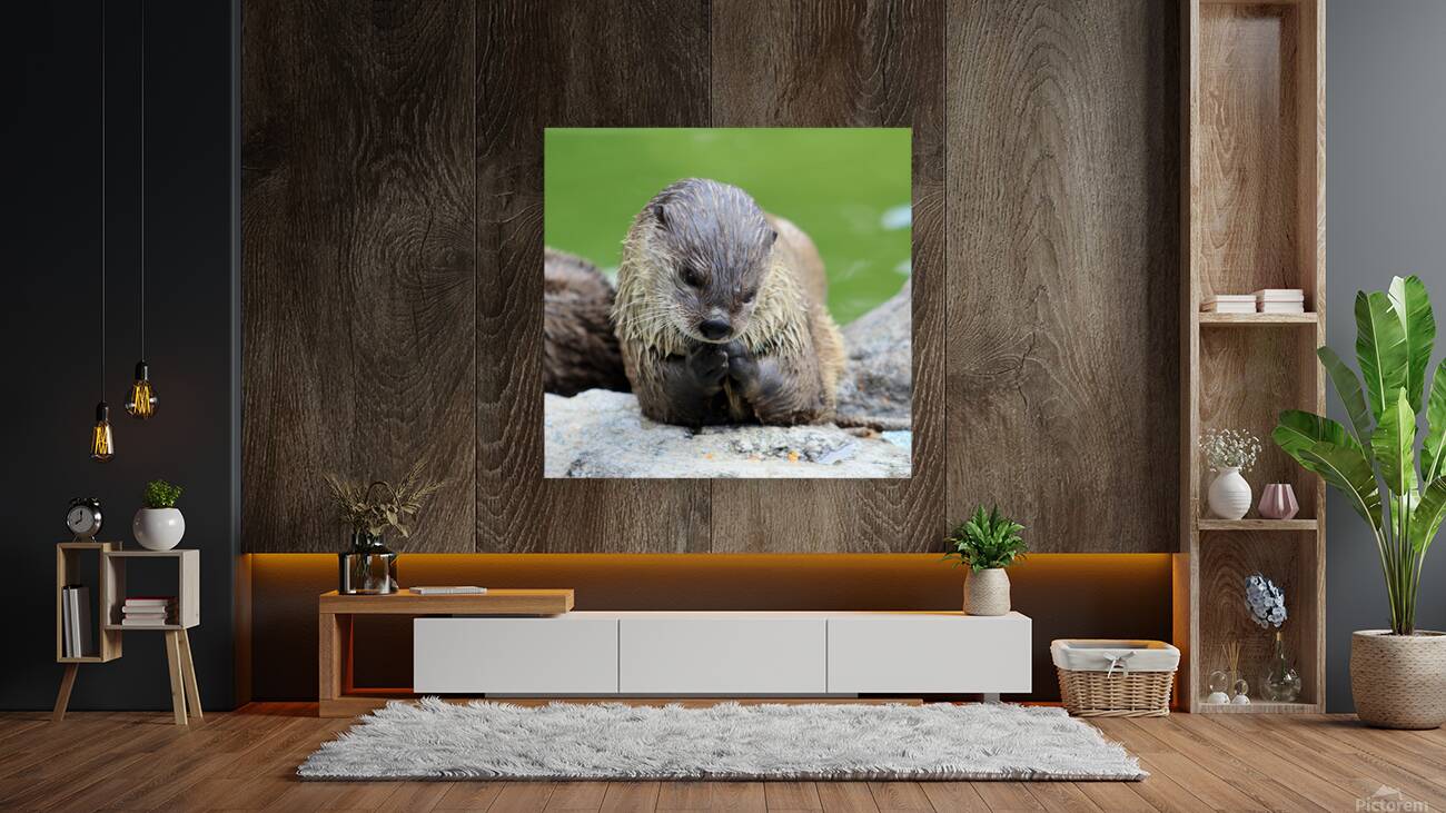 River Otter Reproduction