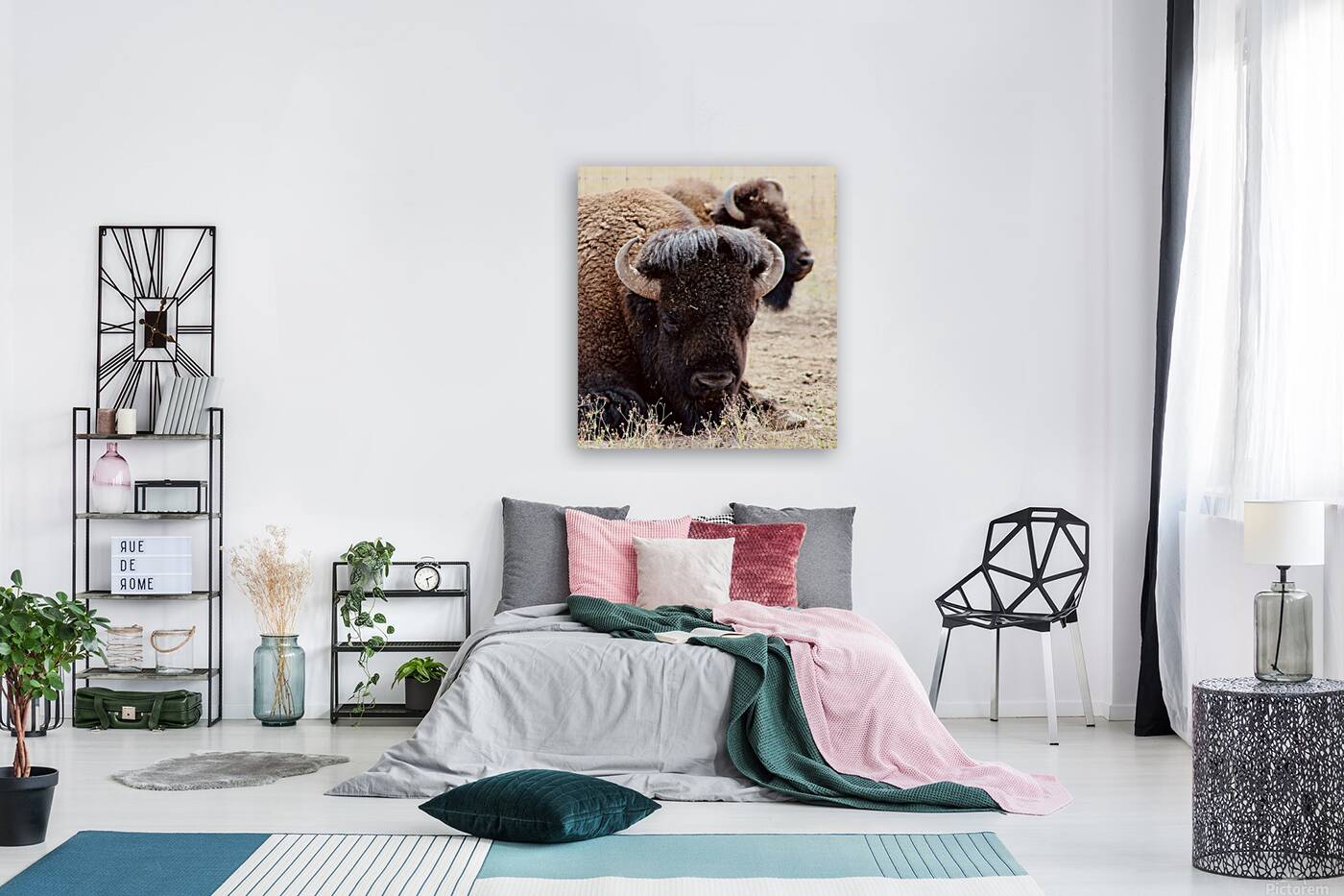 Bison in Arizona  Reproduction