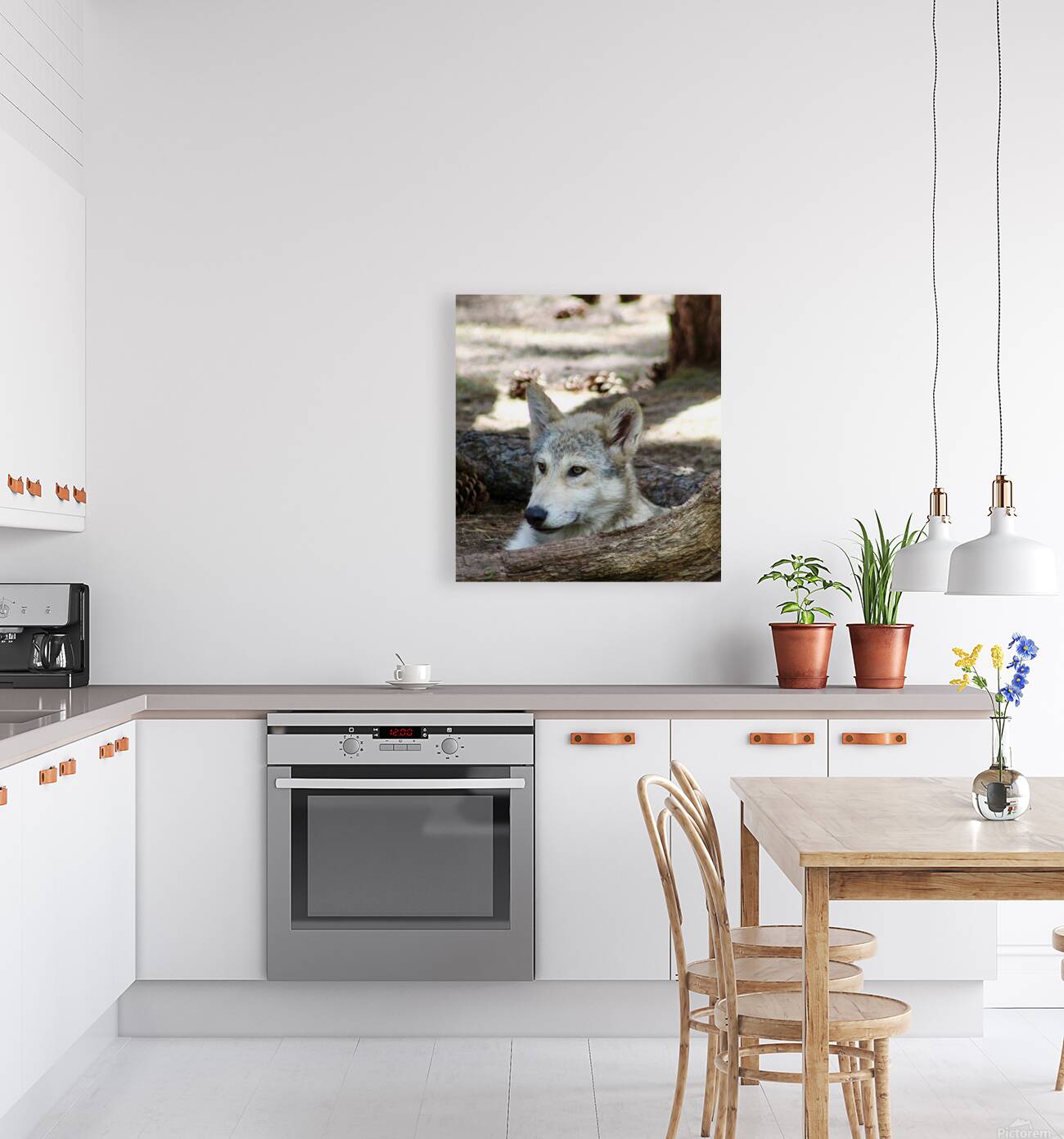 Young Wolf Reproduction