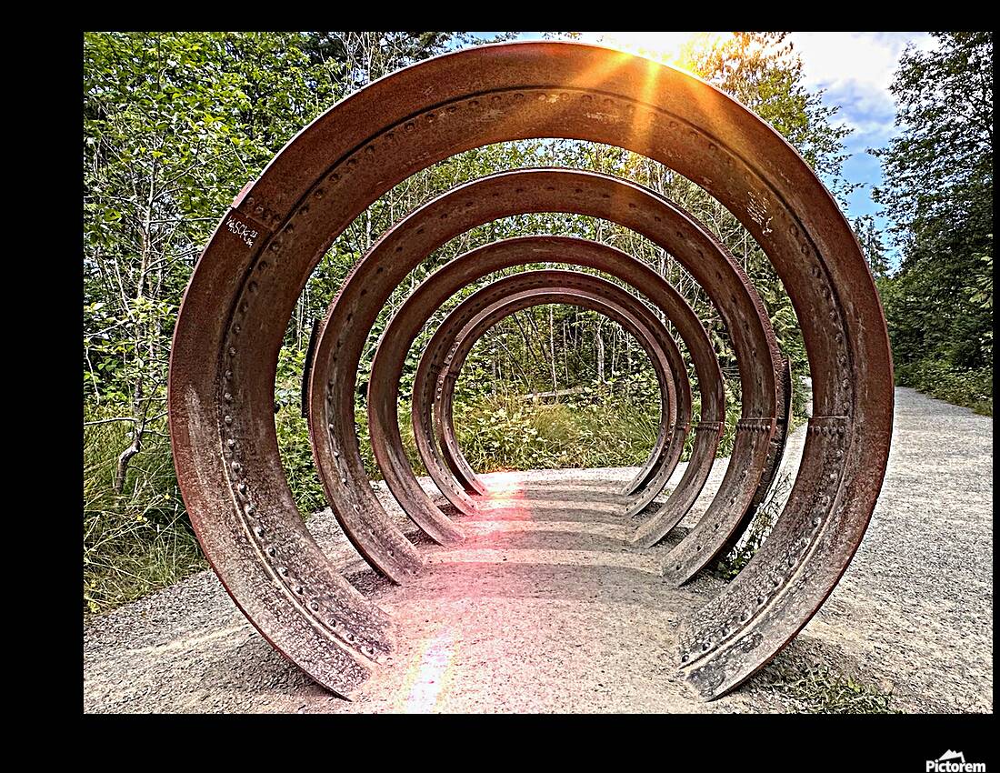 IMG 1694 Reproduction