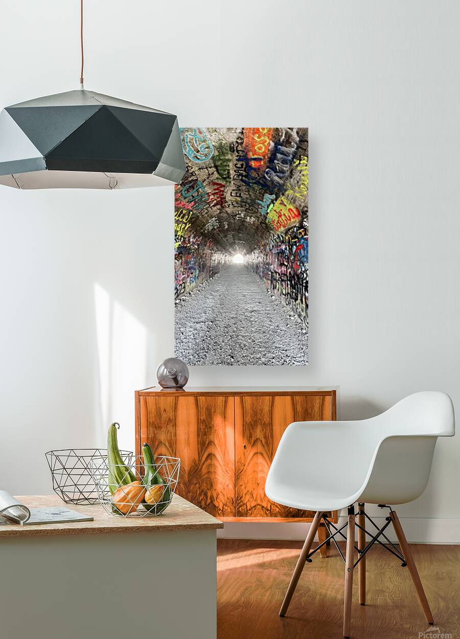 Baird Springs Tunnel -vertical Reproduction