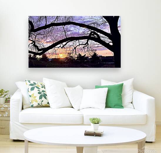 Purple and Orange Reproduction