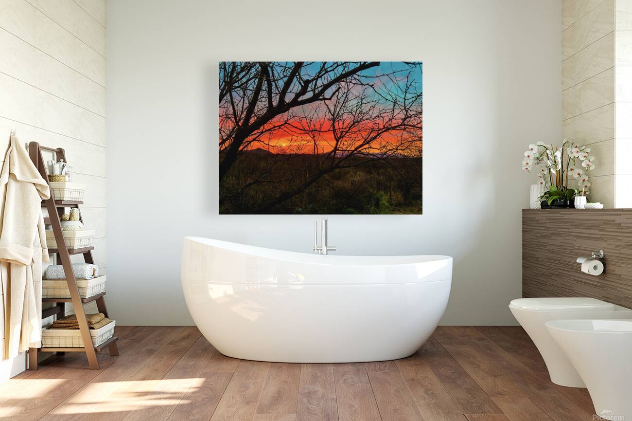 Colors of the Desert Reproduction