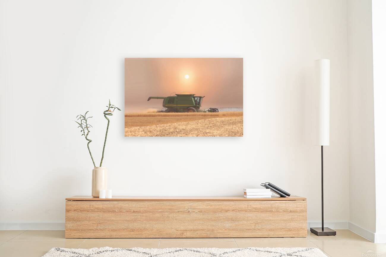 Wheat Havest Sundown Reproduction