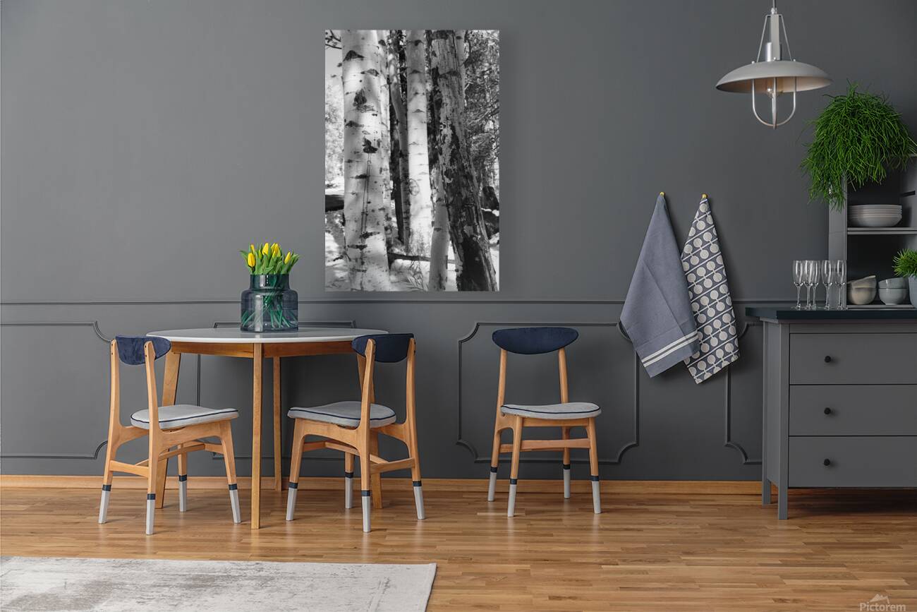 IMG 4696 Reproduction