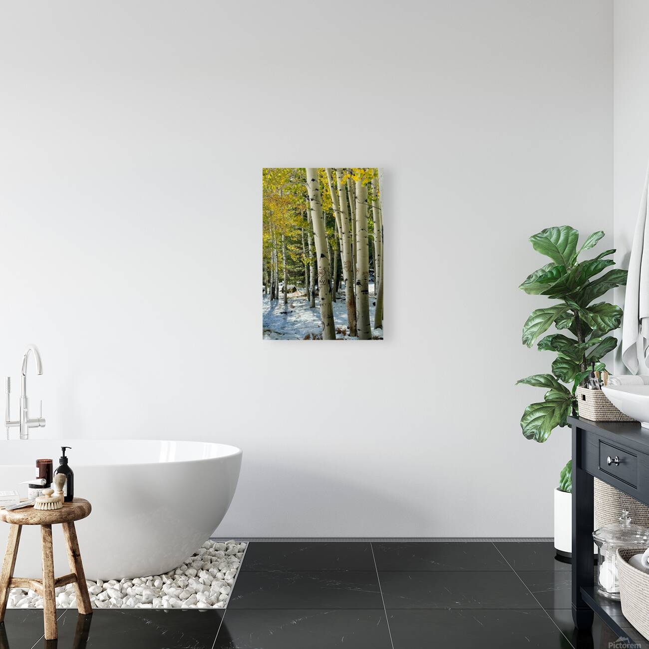 Aspens in Flagstaff -2 Reproduction