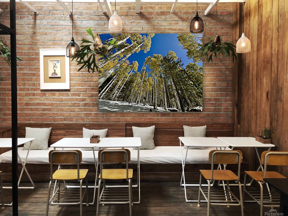 IMG 9874 Reproduction