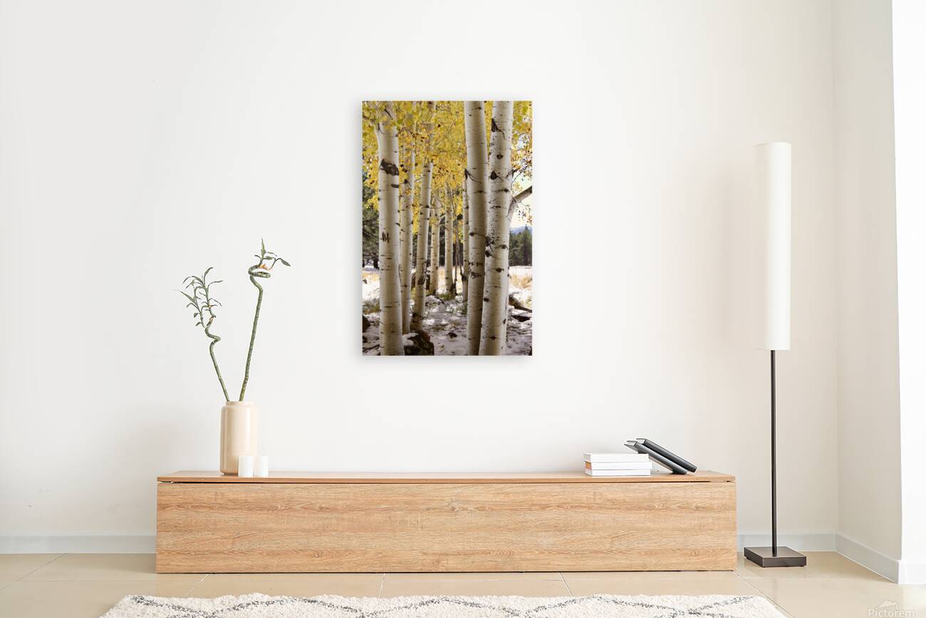 IMG 4712 Reproduction