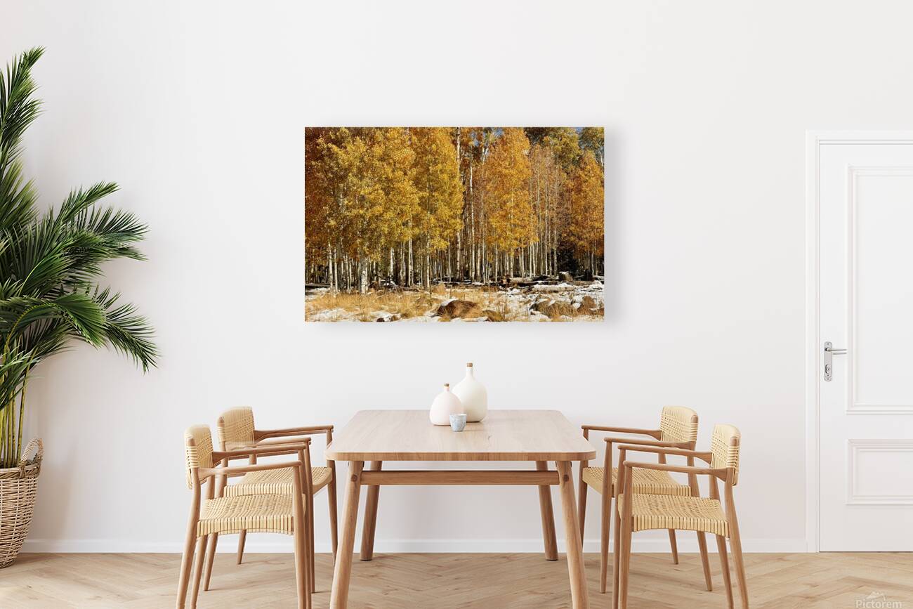 IMG 9899 Reproduction