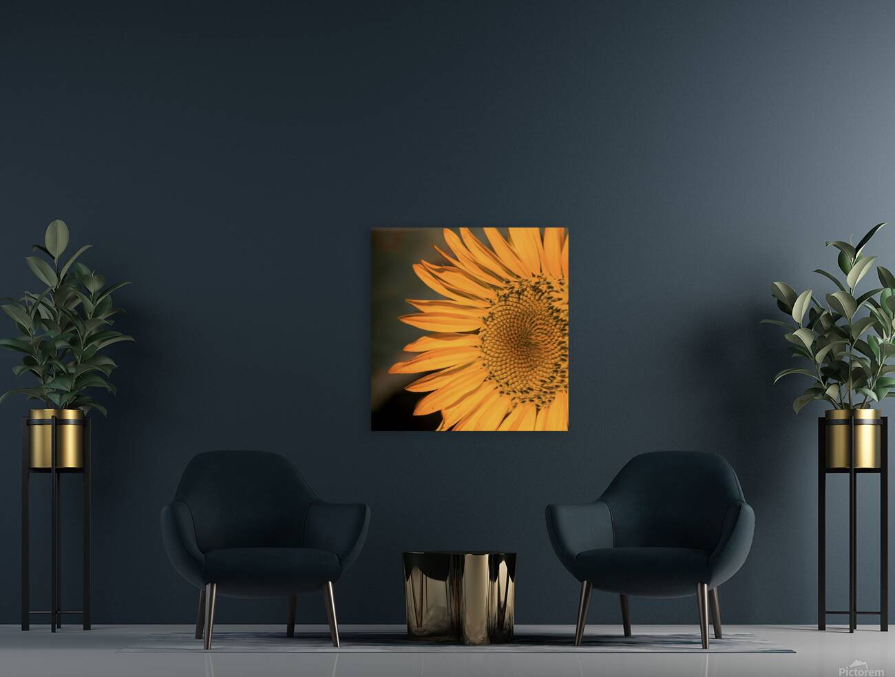 Close up Sunflower Reproduction