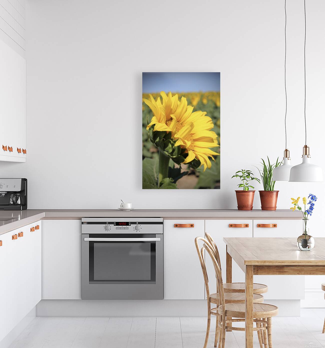 This is my best side Reproduction