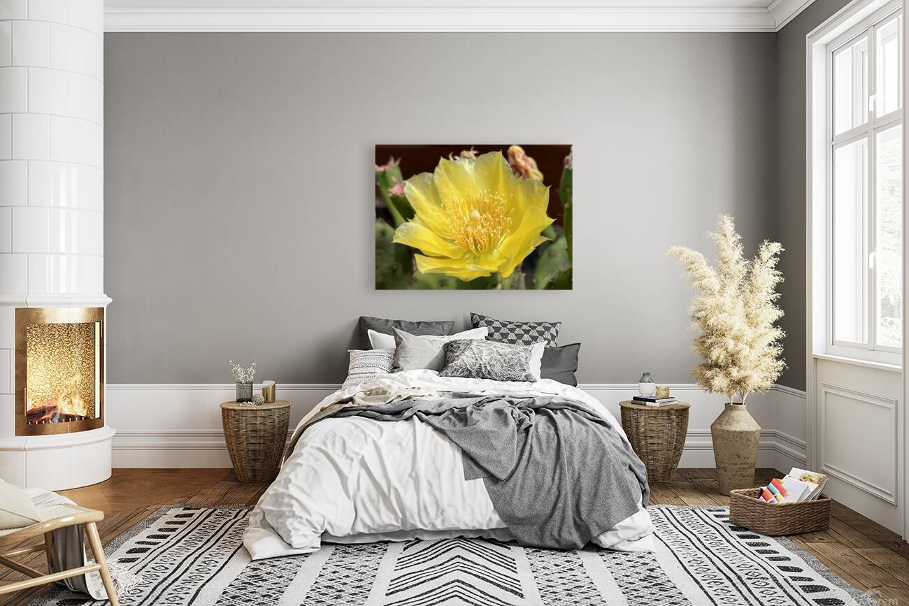 Prickly Pear Bloom -1 Reproduction