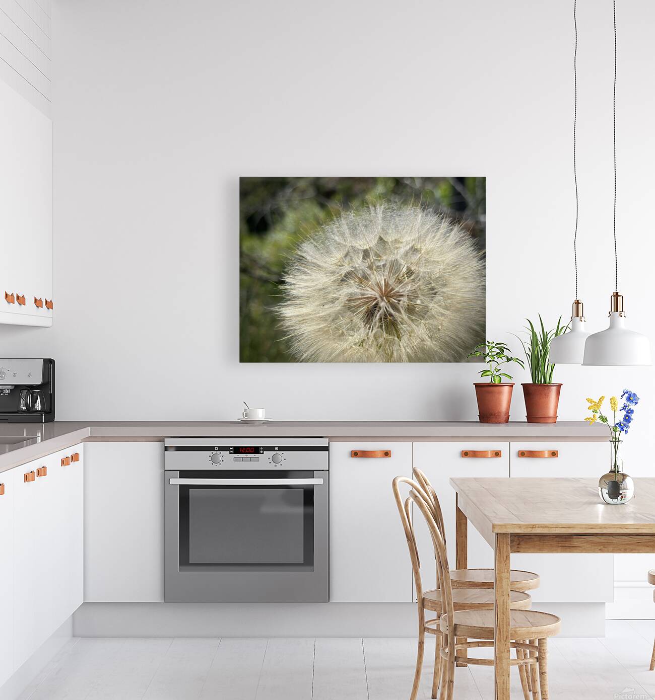 Dandelion Head Reproduction