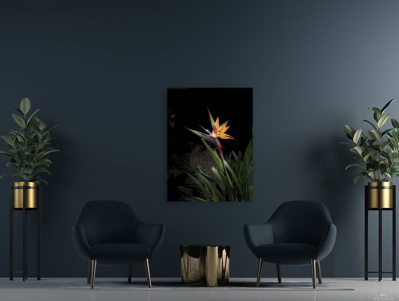 Bird of Paradise Reproduction
