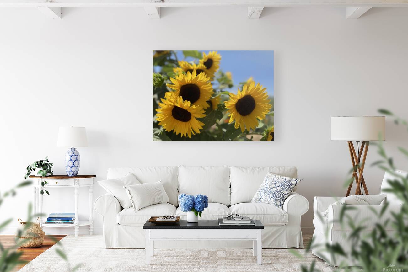 Happy Sunflowers Reproduction