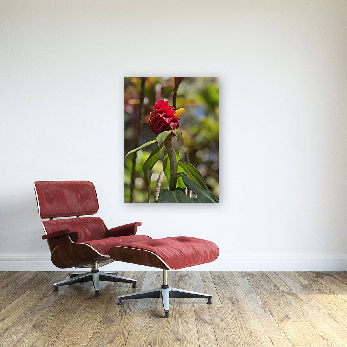 Spiral Ginger Reproduction