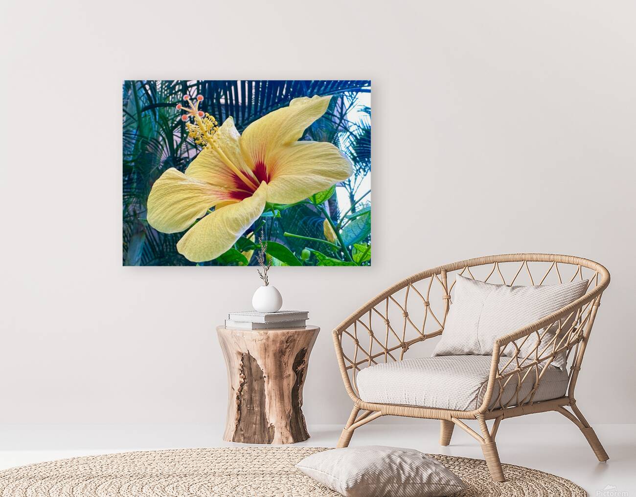 Yellow Hibiscus Reproduction