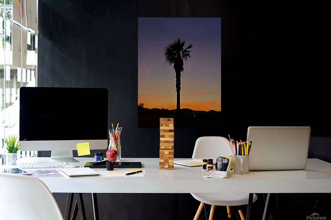 Afterglow Palm Reproduction