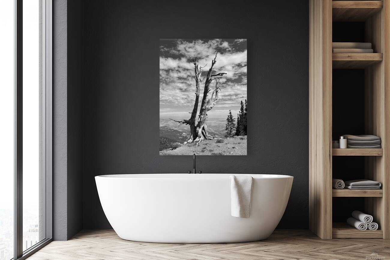 Wenatchee Overlook - black and white Reproduction