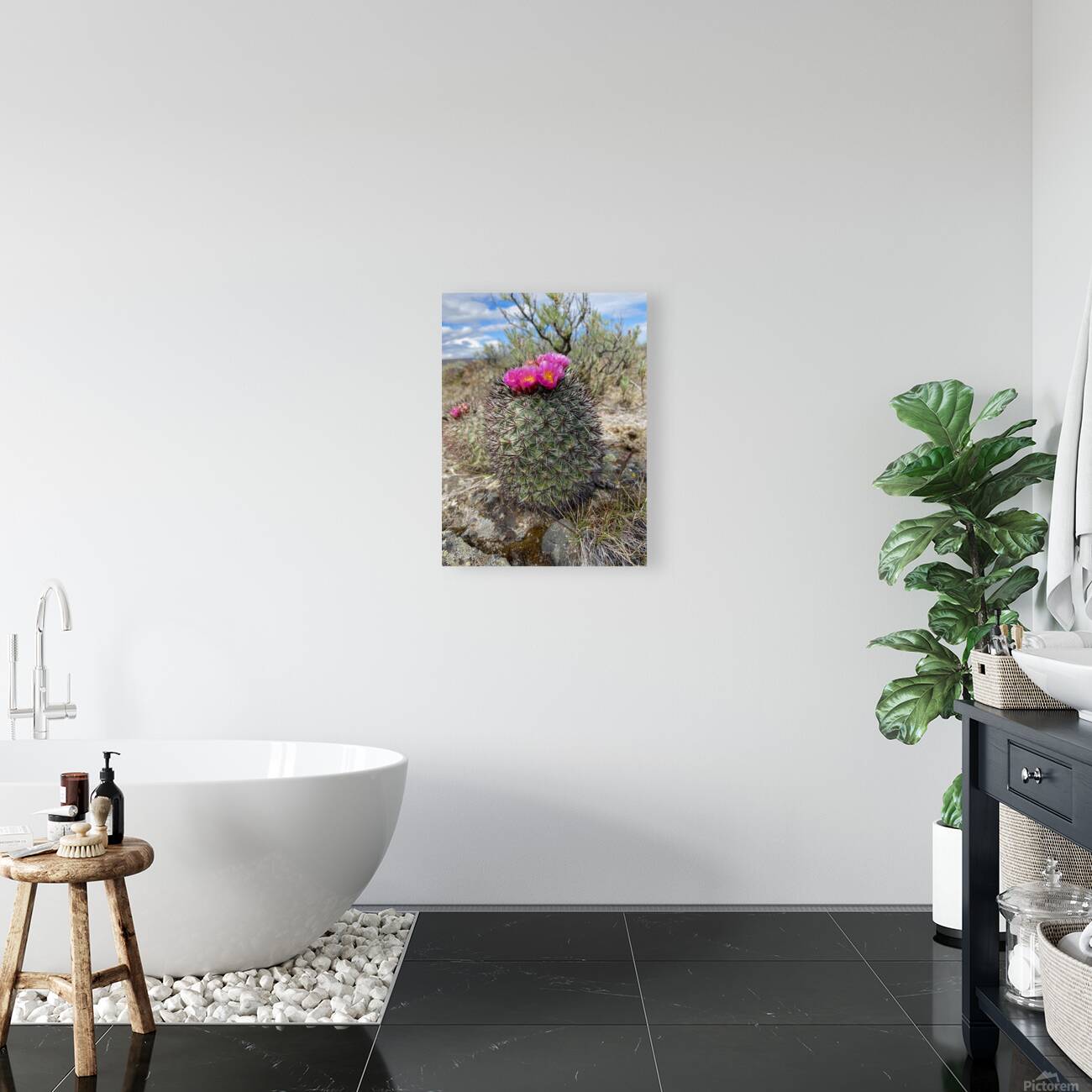 Barrel Cactus Reproduction