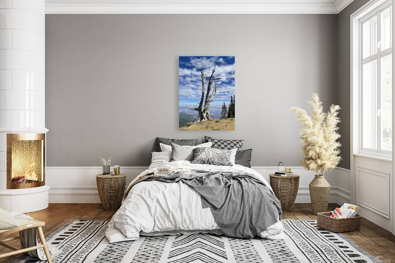 Wentachee Overlook - color Reproduction