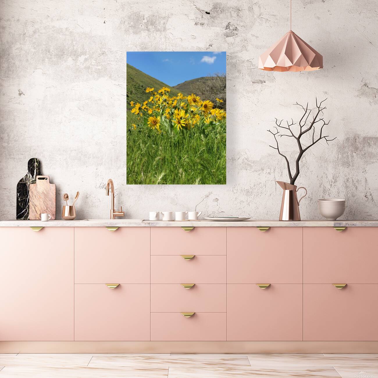 Balsam Root Wildflowers Reproduction