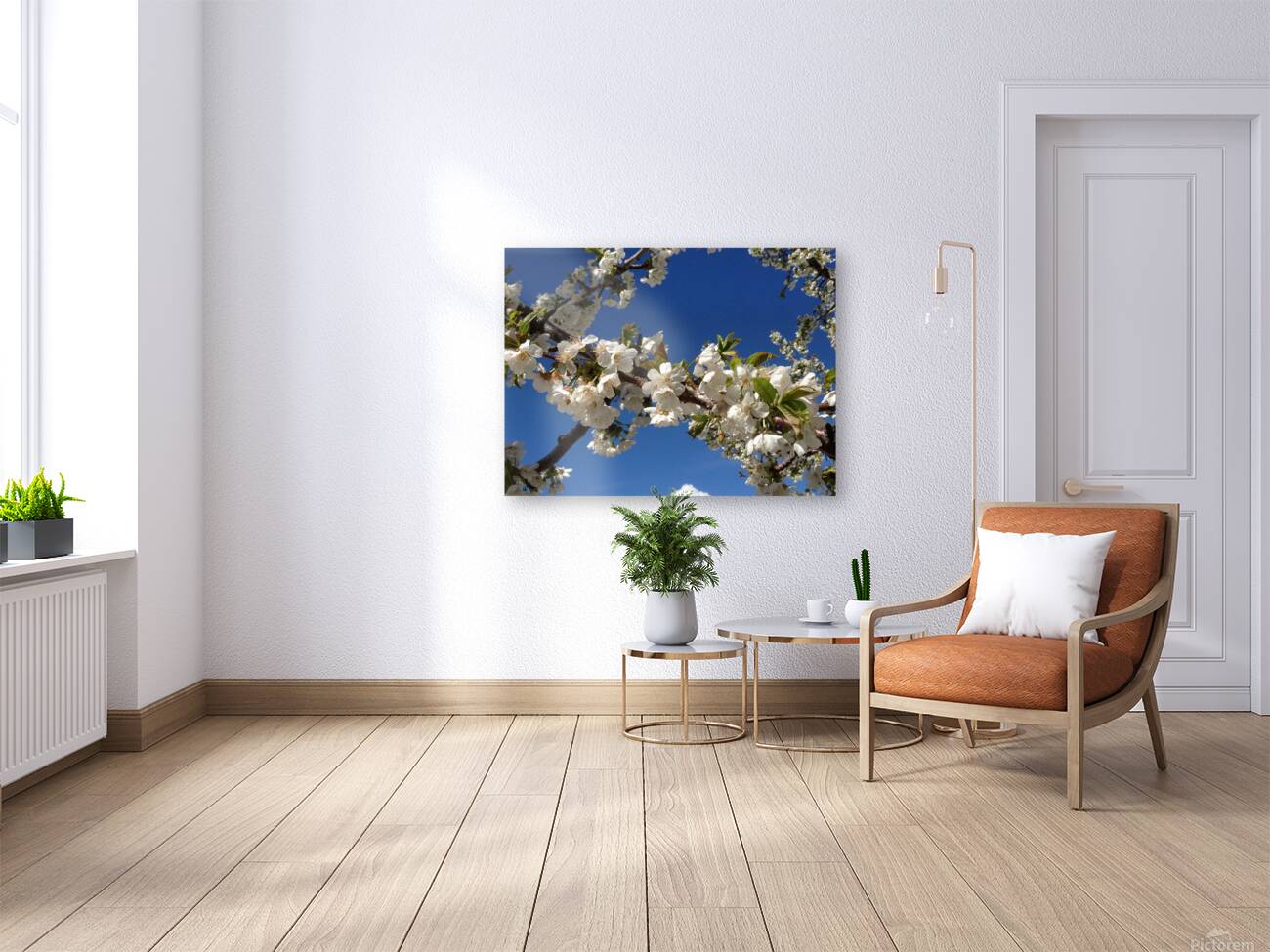 White Cherry Blossom -2 Reproduction