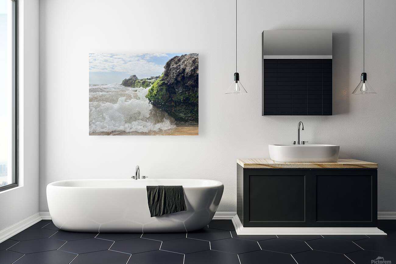 IMG 0842 Reproduction